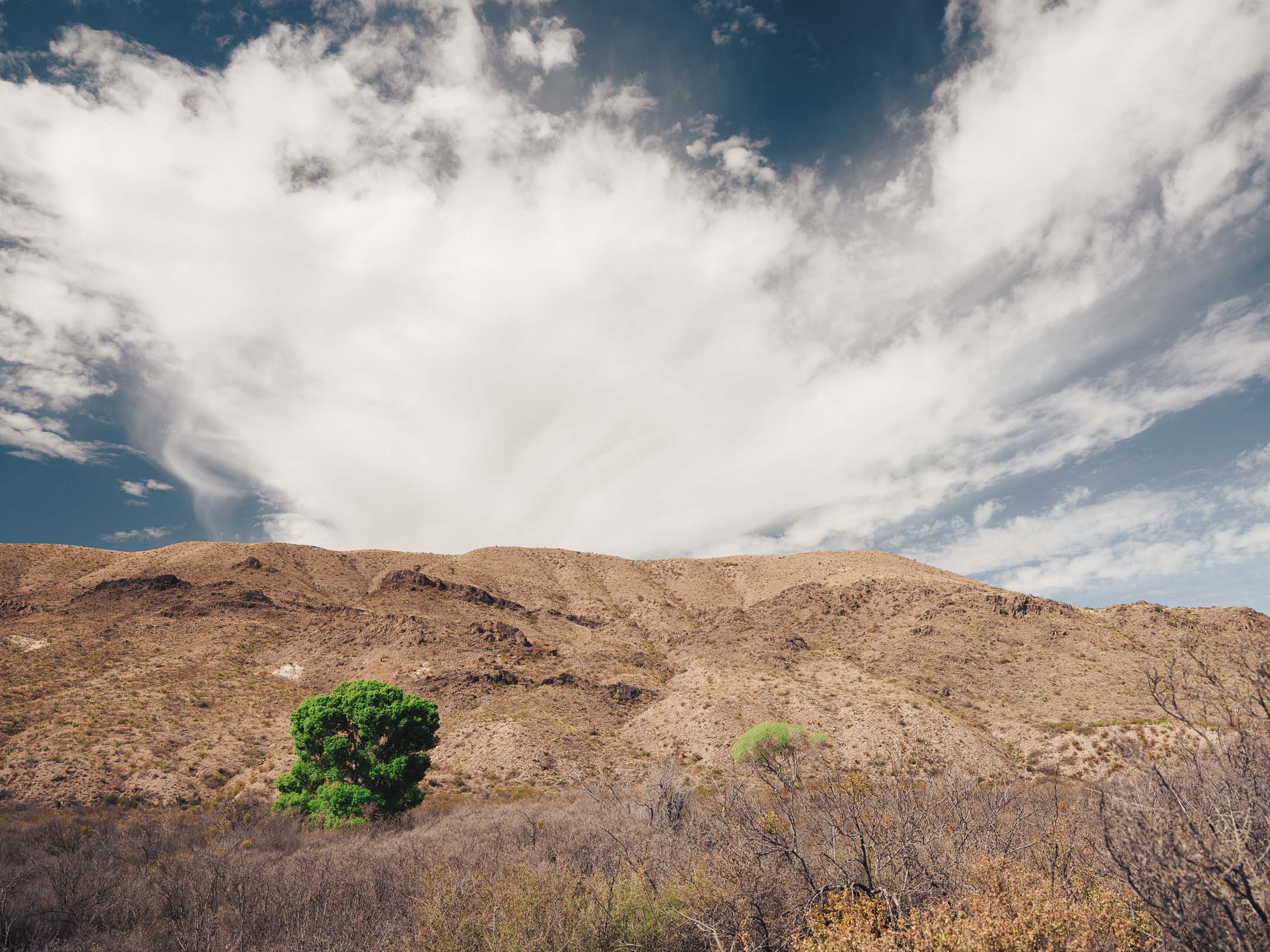 Big Bend